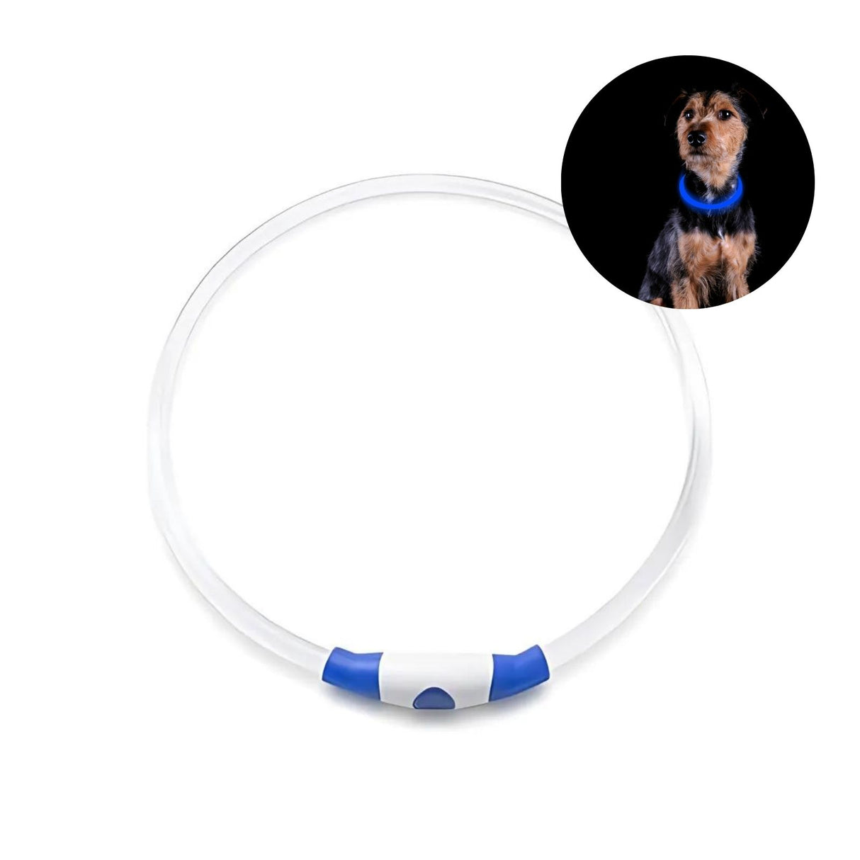 LED-Sicherheits-Hundehalsband Hundehalsband Leuchthalsband Schlauchhalsband