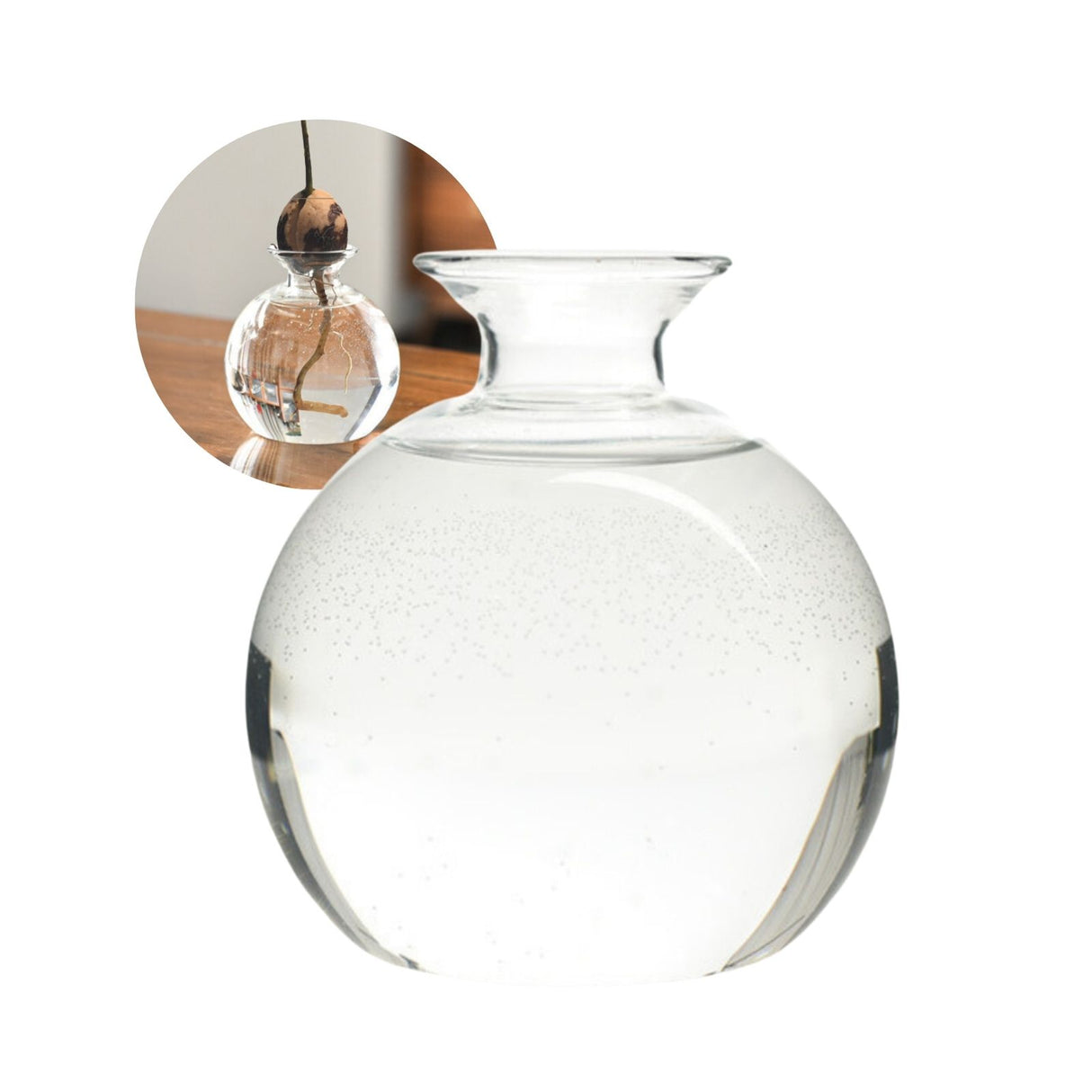 Avocado-Anzuchtvase Blumenvase Hyazinthenglas Hydrokultur