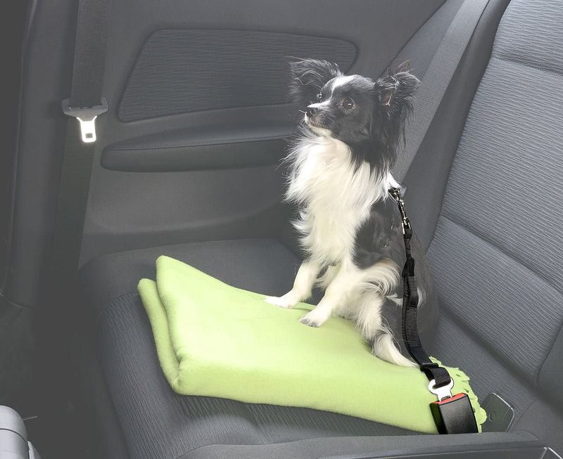 Sicherheitsleine Sicherheitsgurt Autorücksitz Hundeleine Schwarz