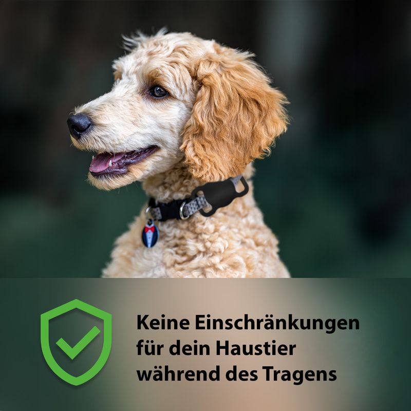 Alternative Apple AirTag Hülle Case Schutzhülle Silikonhülle Halsband