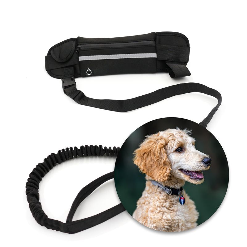 Leine Jogging Bauchgurt Hüftgurt Hundeleine Flexibel Elastisch Bungee