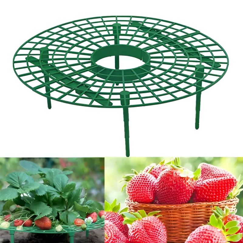 Erdbeerreifer Garten Erdbeerhalter Erdbeerstütze 10 Stück im Set