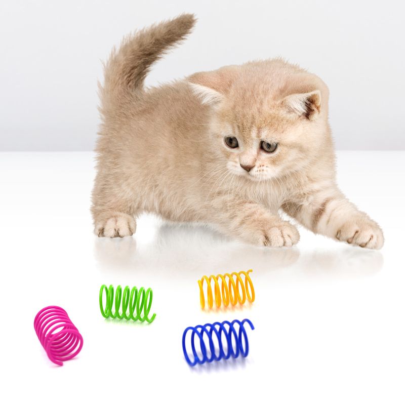 Spiralfedern Katzenspielzeug Geschicklichkeitsspiel Federspielzeug