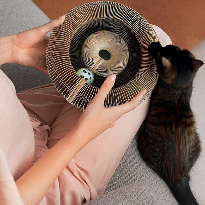 Katzen Spielzeug Ballspiel Haustierspielzeug Kratzspielzeug Kratzorgel