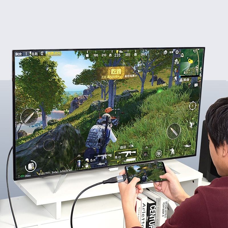 USB-C zu HDMI Adapter Umwandler Konverter Transformer 4K UHD 60Hz m/w