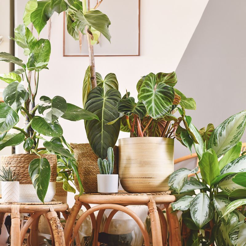 Bewässerungssystem Selbstbewässerungsanlage Wasserpumpenanlage