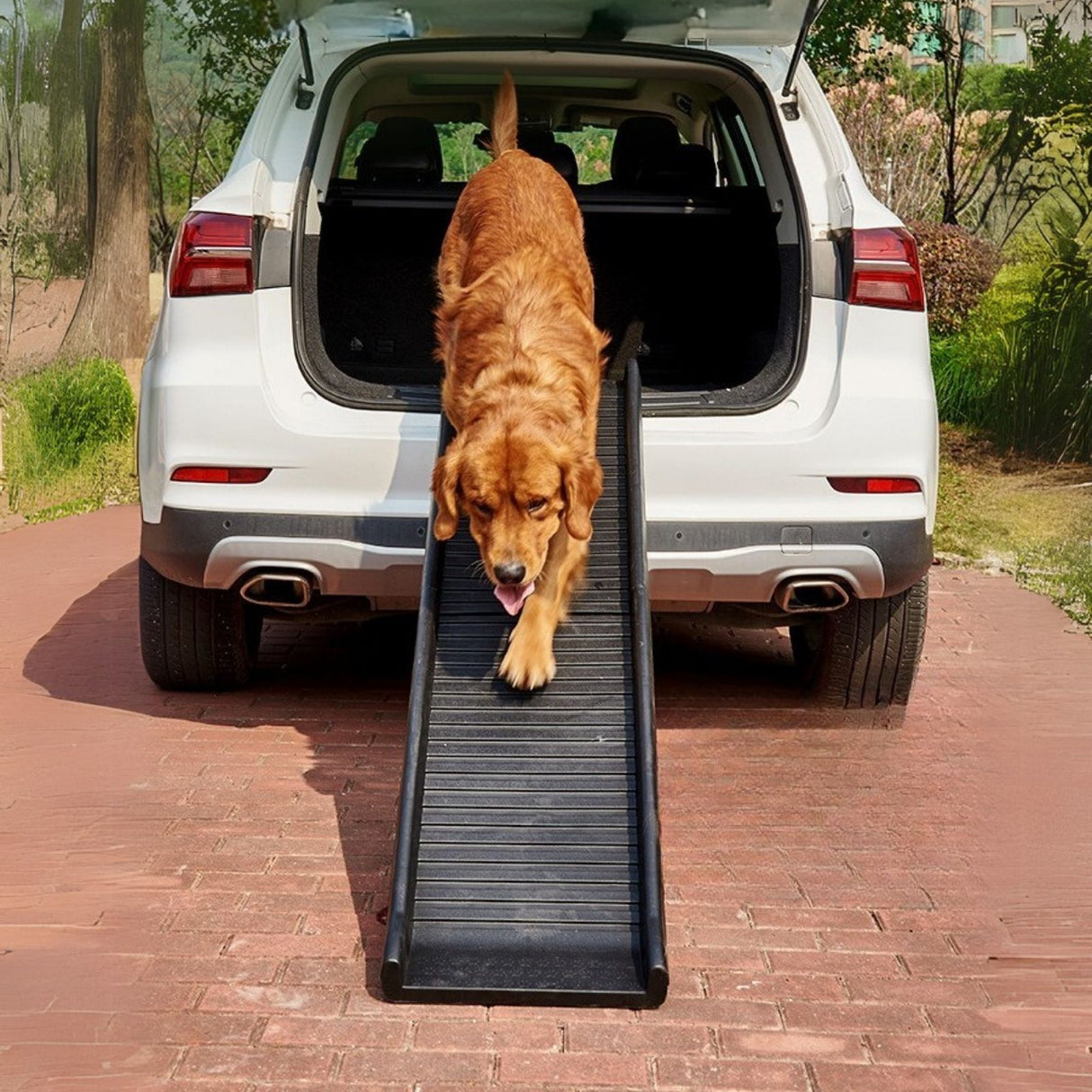 Hunderampe Klapp-Rampe Einstieghilfe Aufstiegshilfe Tiertransport