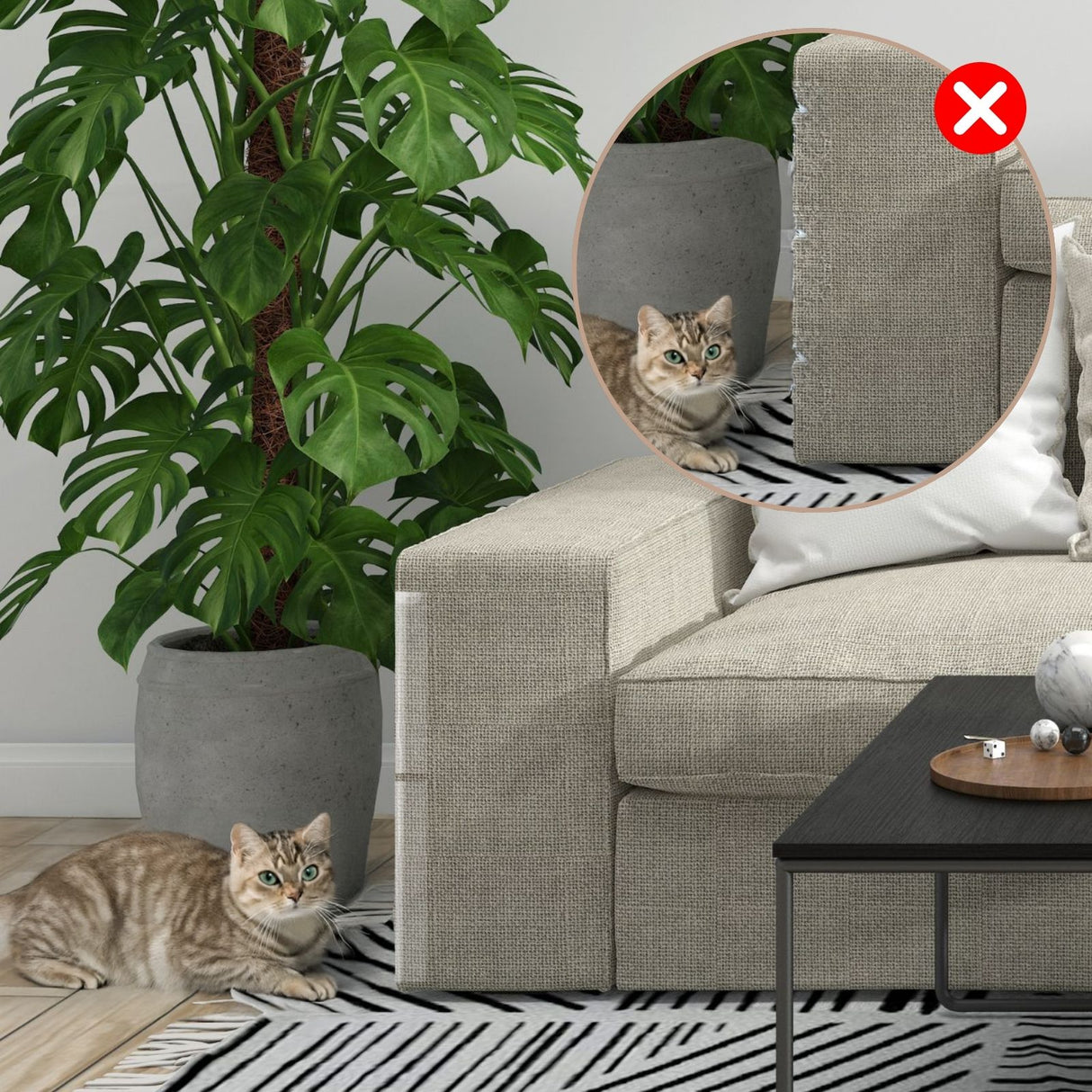 Kratzschutz Kratz-Stop Anti-Kratz Folie Katzen Möbelschoner Wandschutz