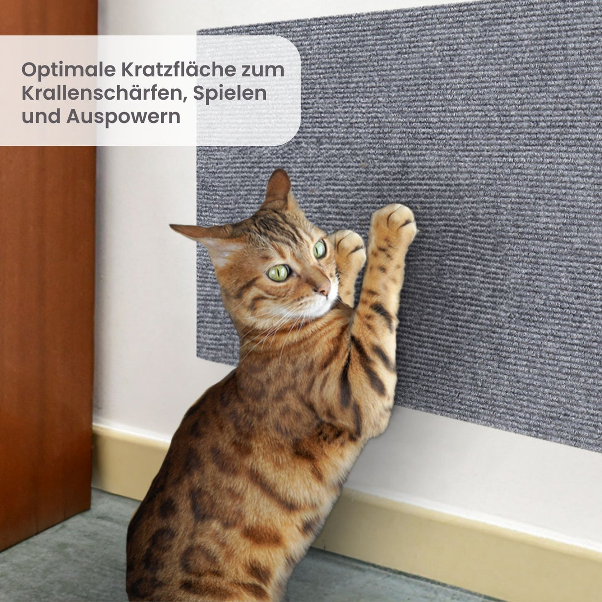 Klettermatte für Katzen Kratzmatte Kratzschutz Kratzbrett Kratzwand