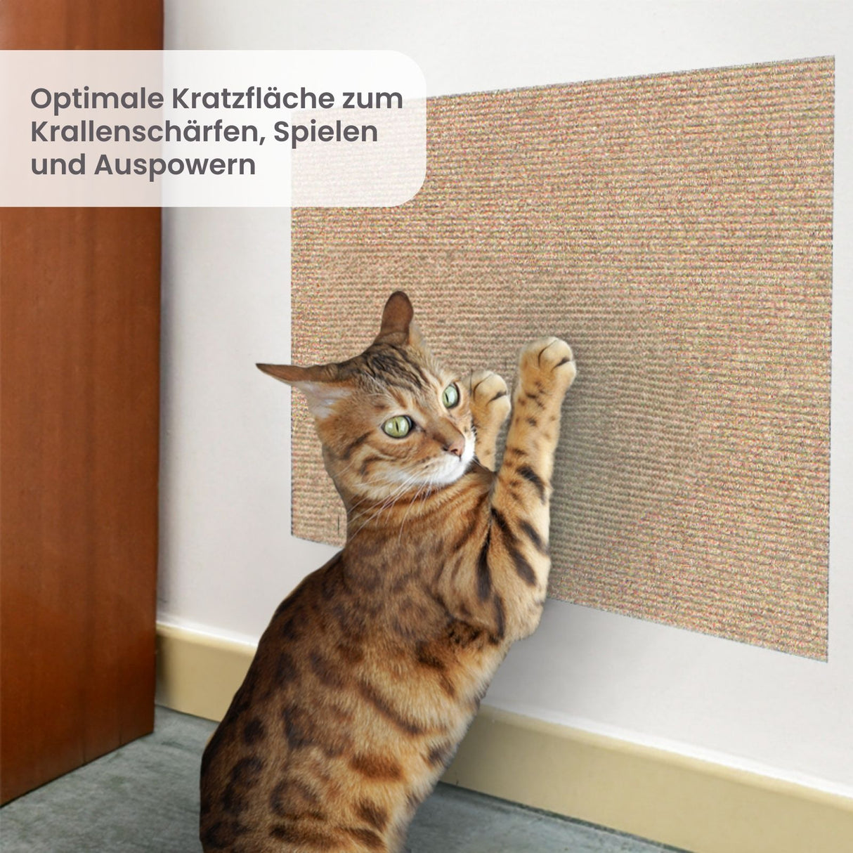Kratzwand für Katzen Klettermatte Kratzmatte Kratzschutz Kratzbrett