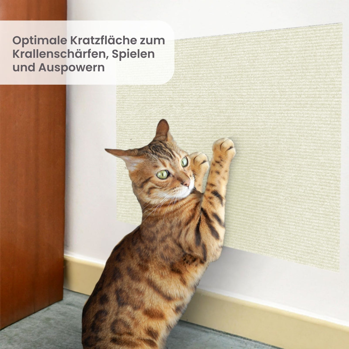 Klettermatte für Katzen Kratzmatte Kratzwand Kratzschutz Kratzbrett