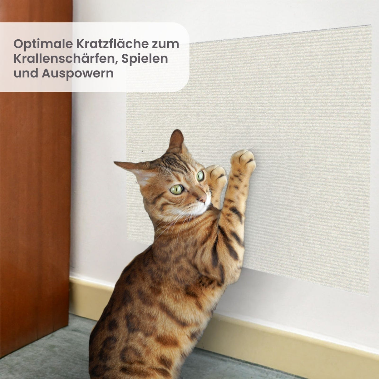 Kratzbrett für Katzen Kratzwand Klettermatte Kratzmatte Kratzschutz