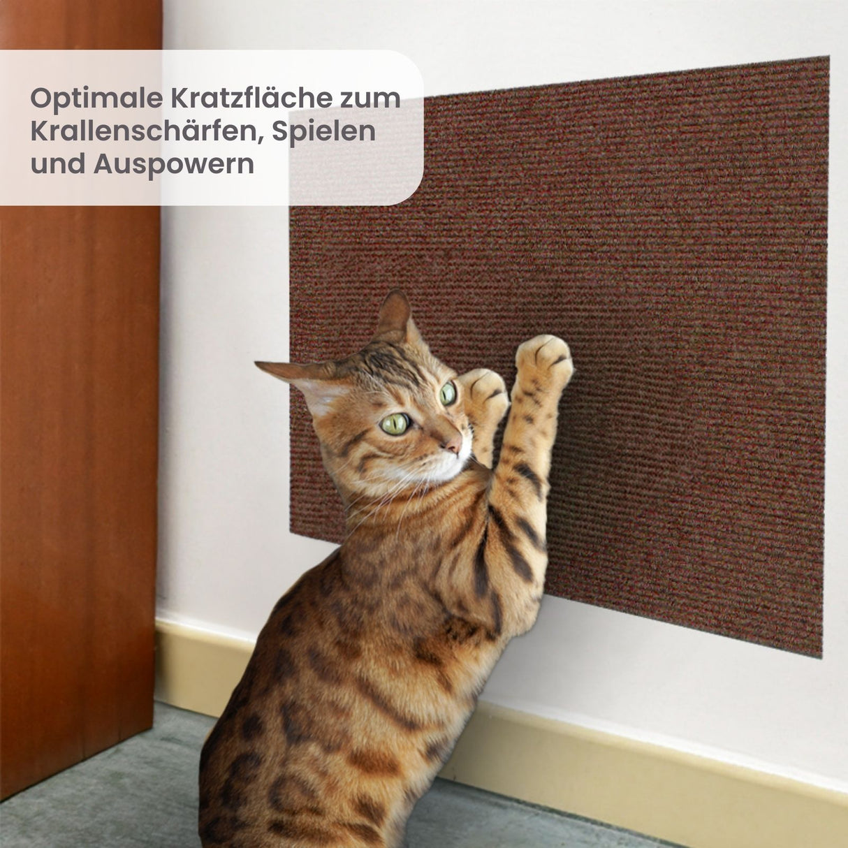Kratzmatte für Katzen Kratzschutz Kratzbrett Kratzwand Klettermatte