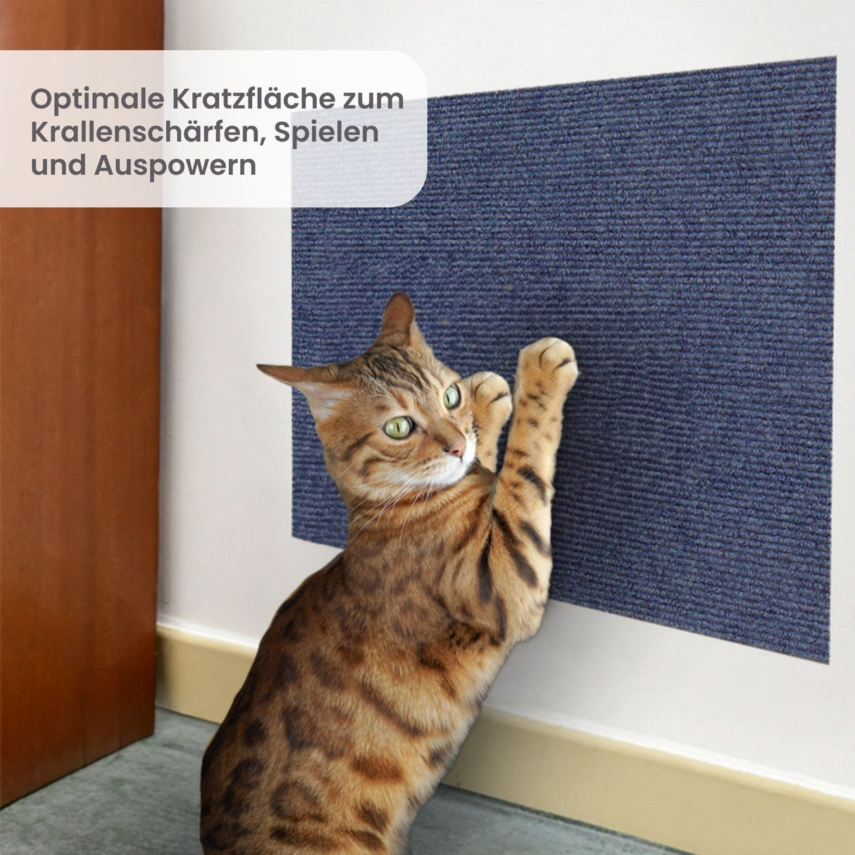 Kratzmatte für Katzen Klettermatte Kratzwand Kratzschutz Kratzbrett