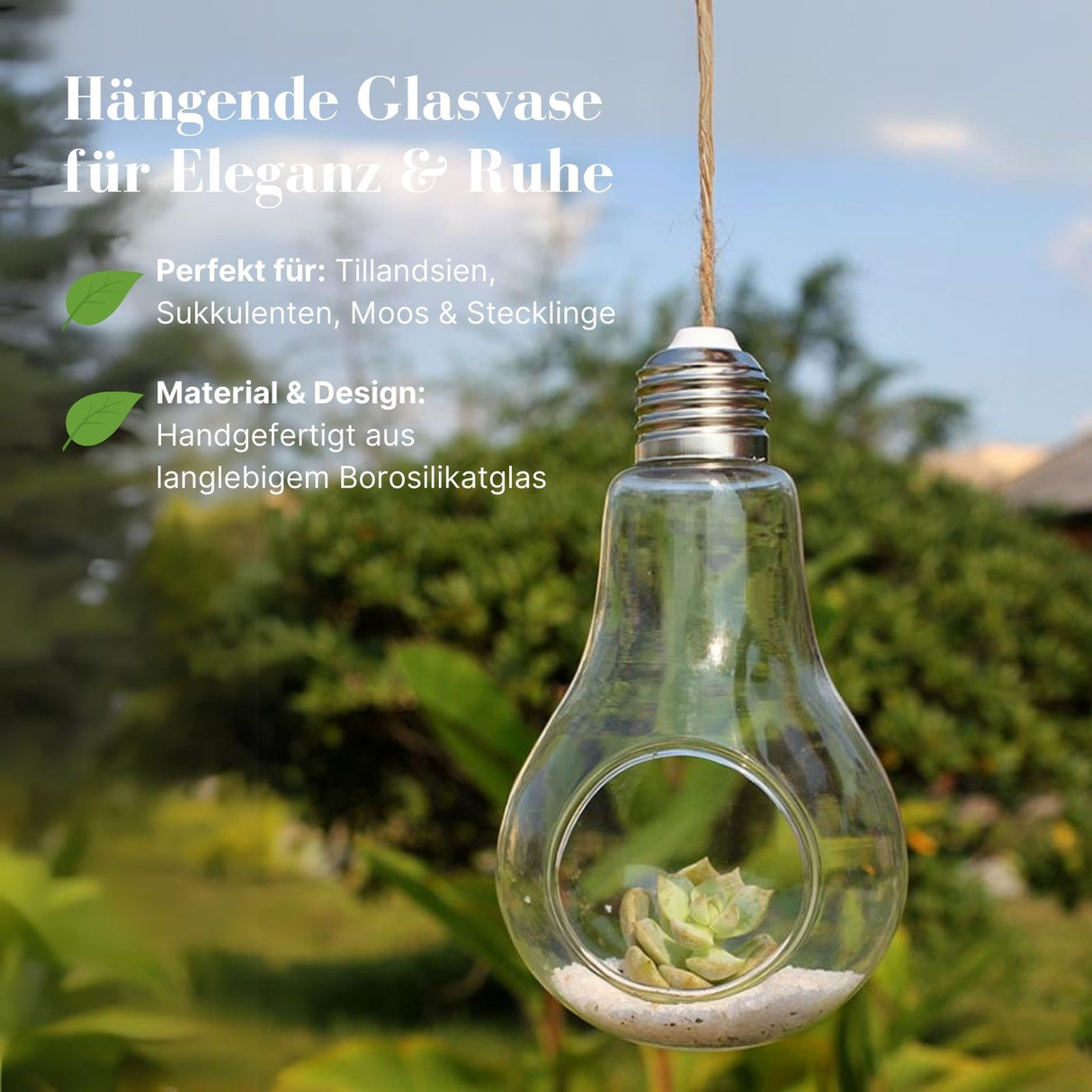 Hängende Glasvase Glühbirnenform Setzlingvase Vase Dekoration
