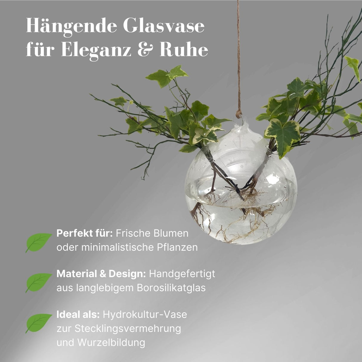 Hängende Glasvase Kugelform Blumenvase Vase Dekoration
