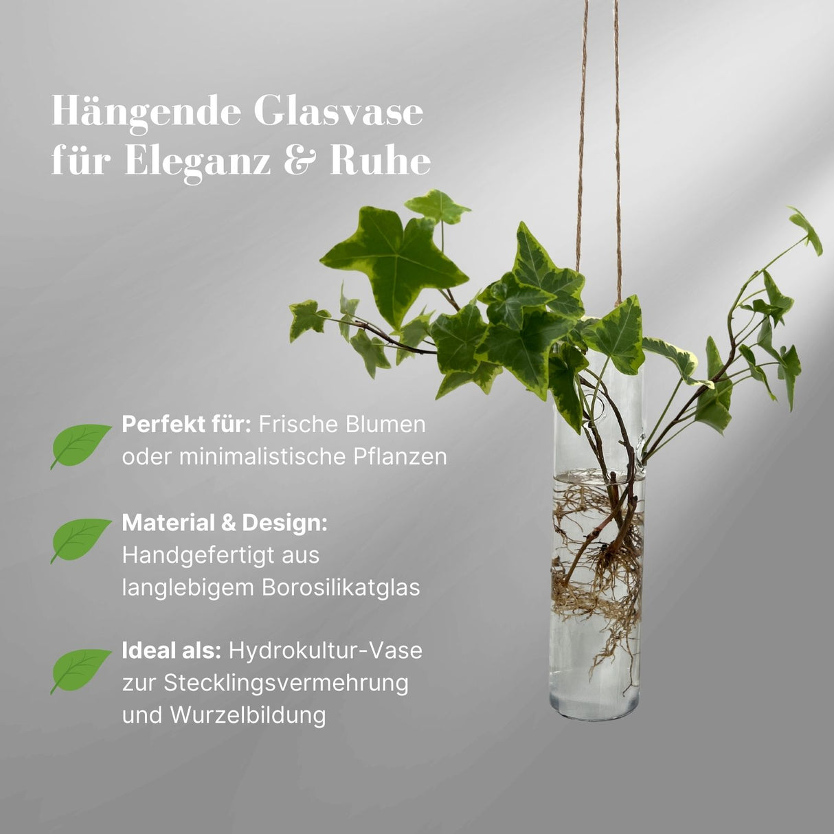 Hängende Glasvase Zylinderform Blumenvase Vase Dekoration