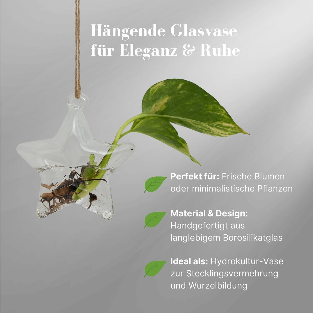 Hängende Glasvase Sternform Blumenvase Vase Dekoration