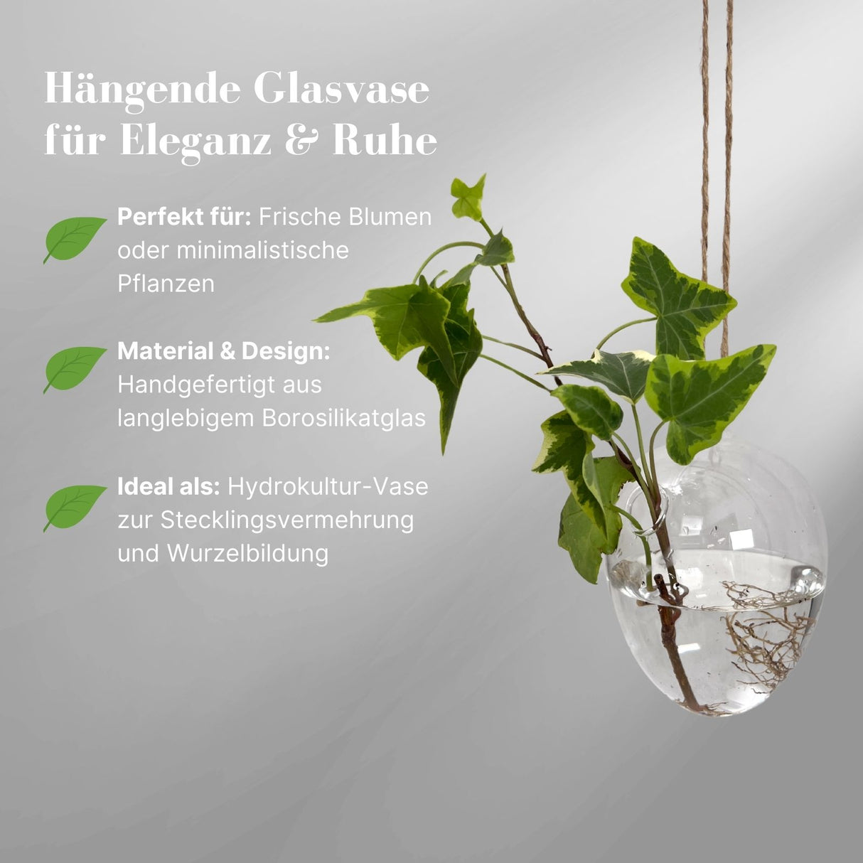 Hängende Glasvase Eiform Blumenvase Vase Dekoration