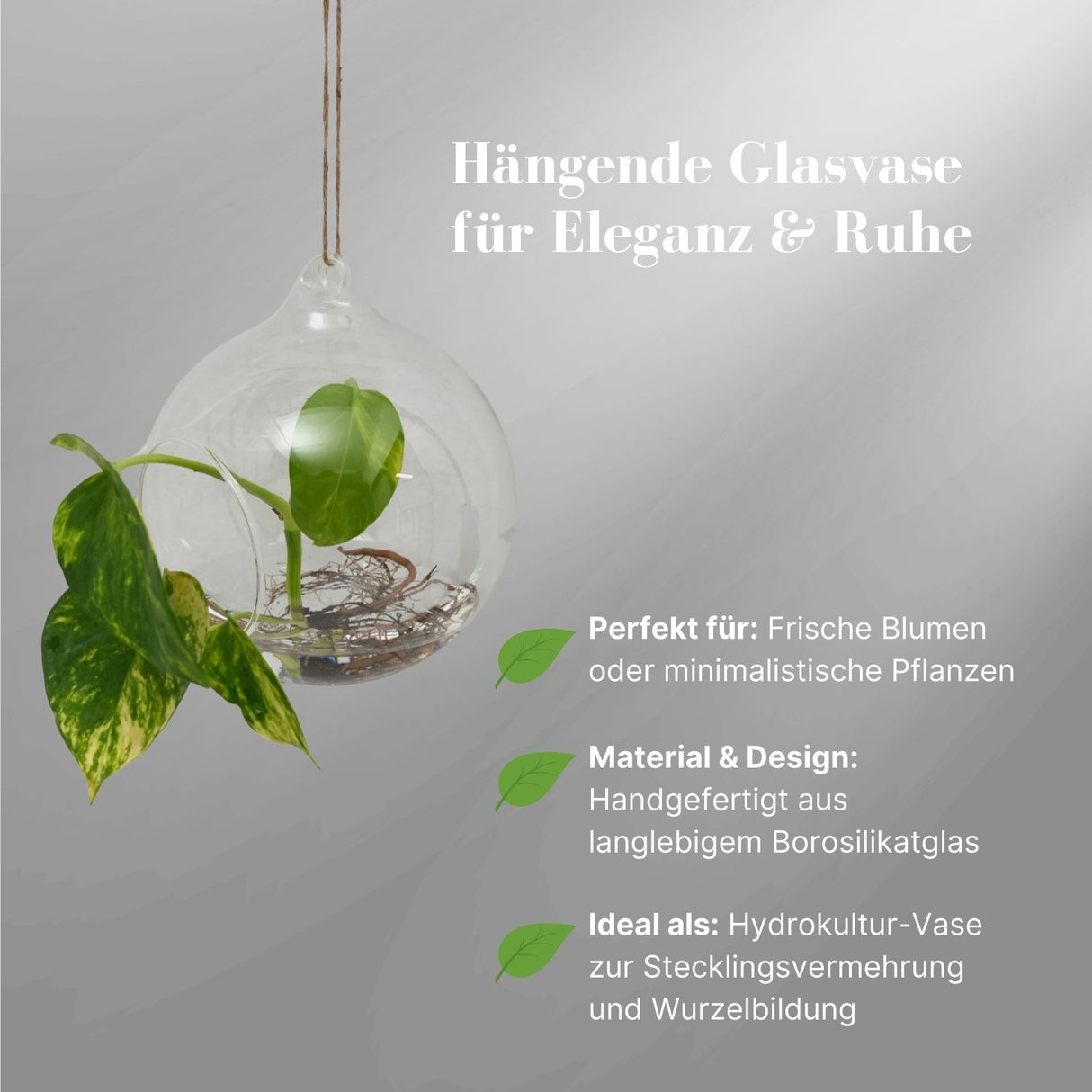 Hängende Glasvase Kugelform Setzlingvase Vase Dekoration