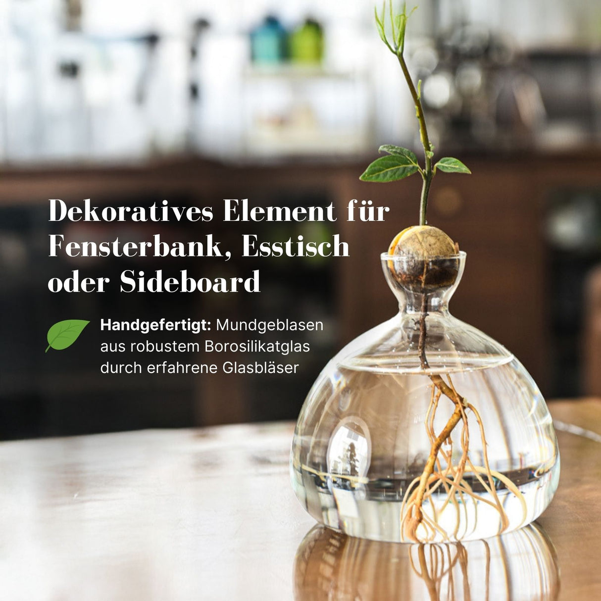 Avocado-Blumentopf Avocado-Anzucht Hydrokultur-Vase Glas-Pflanztopf