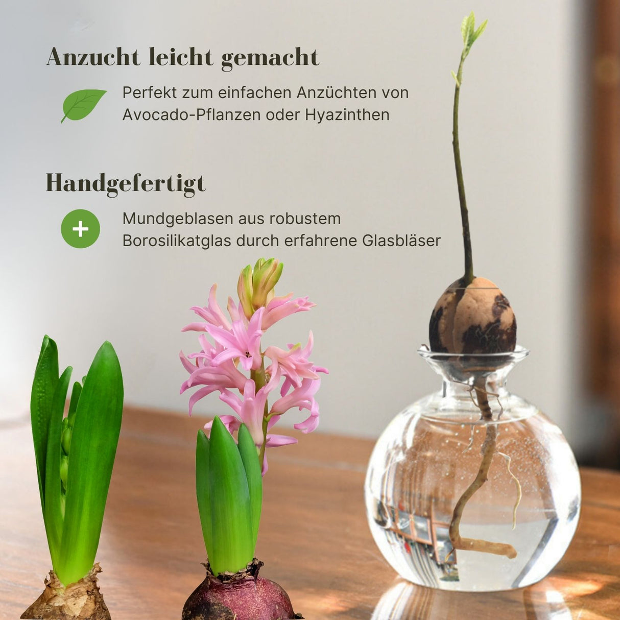 Avocado-Anzuchtvase Blumenvase Hyazinthenglas Hydrokultur