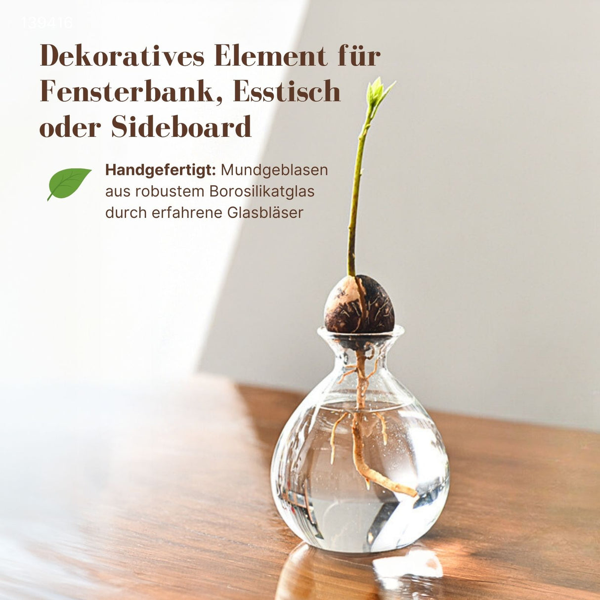 Avocadobaum-Glas Avocado-Vase Hydrokultur-Vase Hyazinthenglas