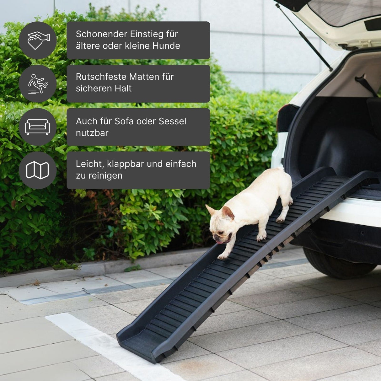 Hunderampe Klapp-Rampe Einstieghilfe Aufstiegshilfe Tiertransport