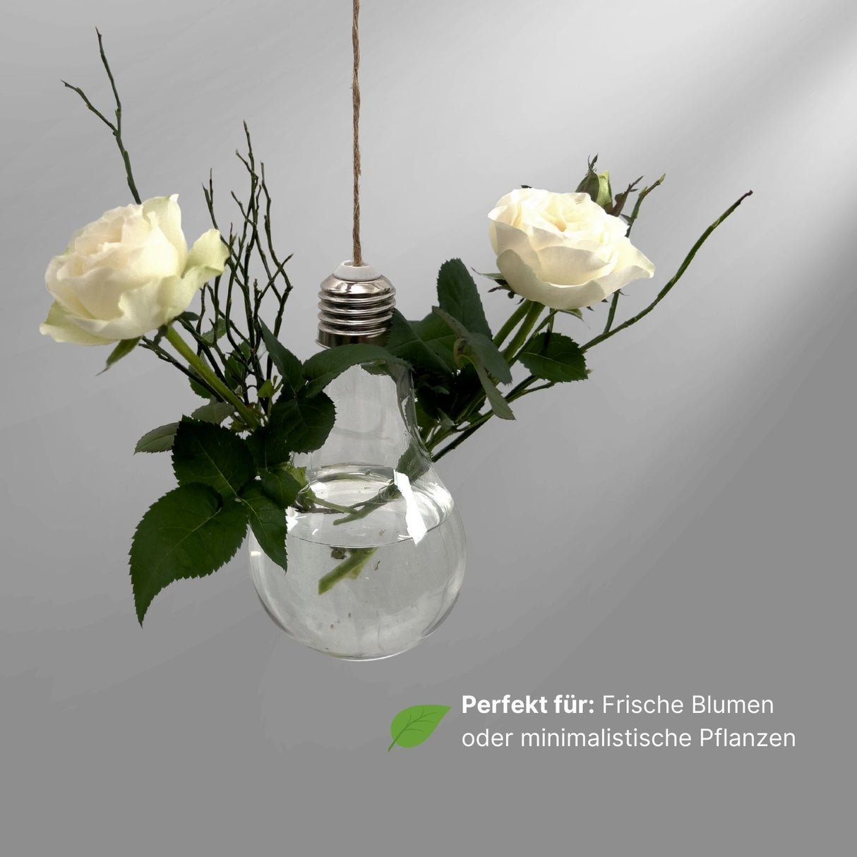 Hängende Glasvase Glühbirnenform Blumenvase Vase Dekoration