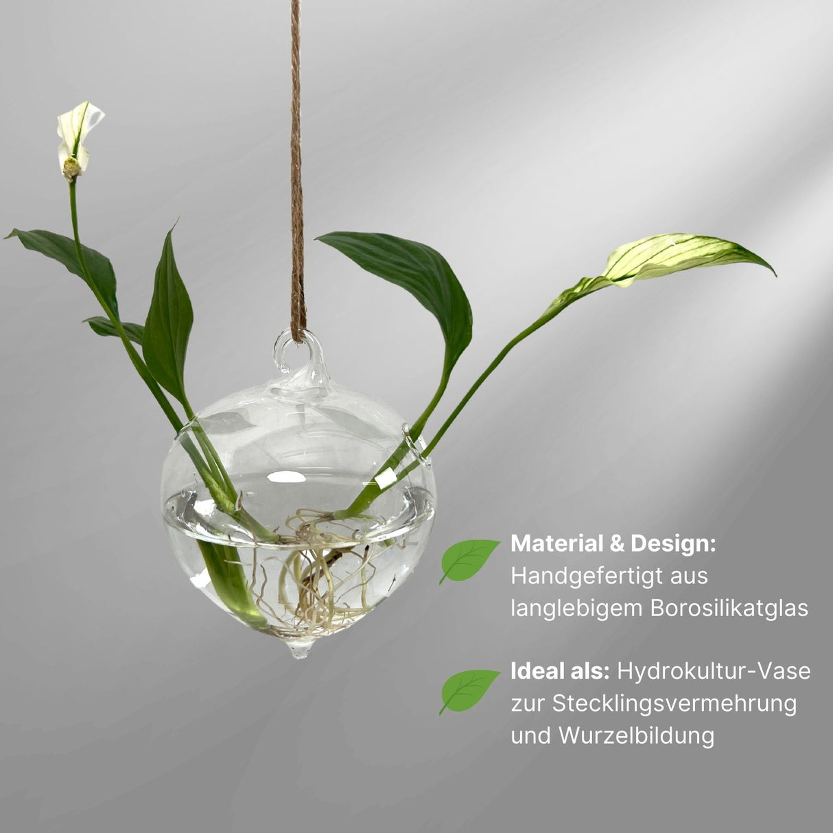 Hängende Glasvase Zwiebelform Blumenvase Vase Dekoration