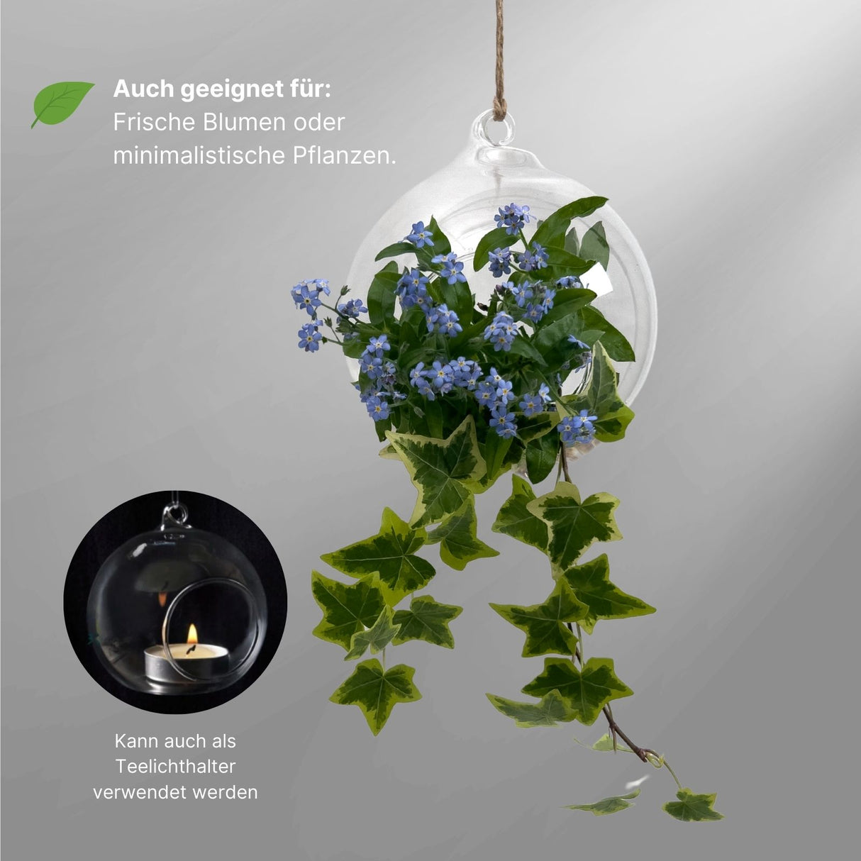 Hängende Glasvase Kugelform Setzlingvase Vase Dekoration