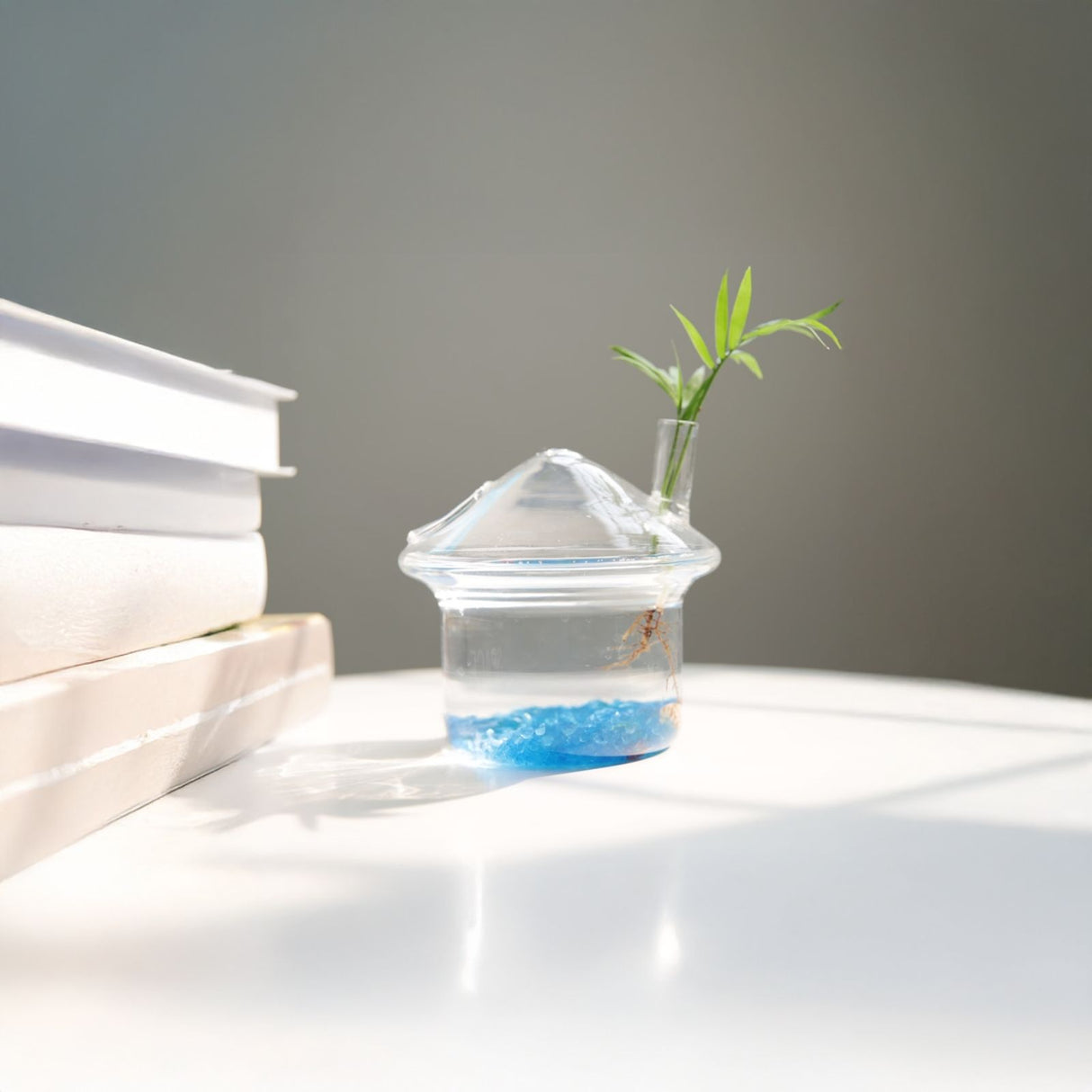 Stehende Glasvase Pilzhausform Blumenvase Vase Dekoration