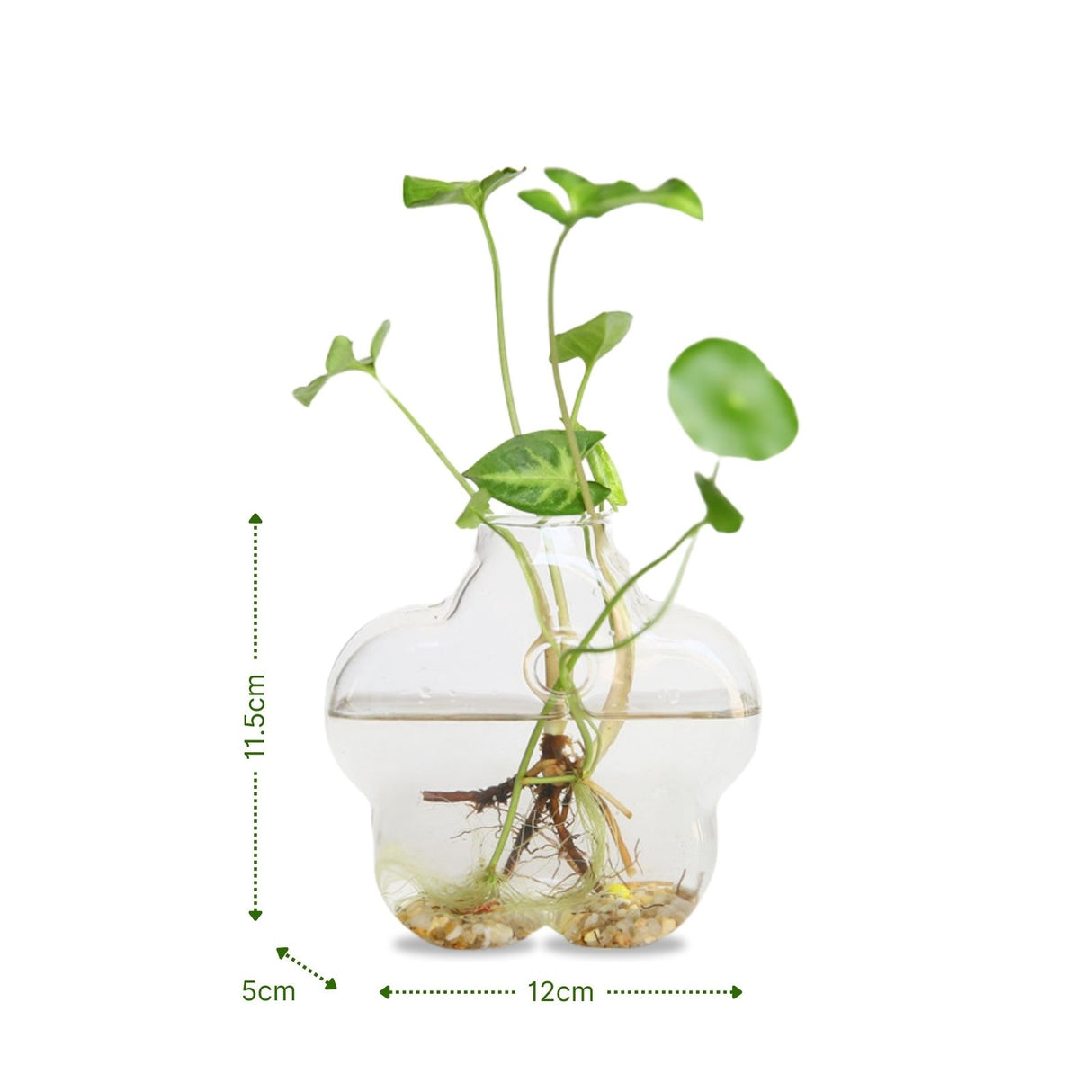 Stehende Glasvase Blütenform Blumenvase Vase Dekoration