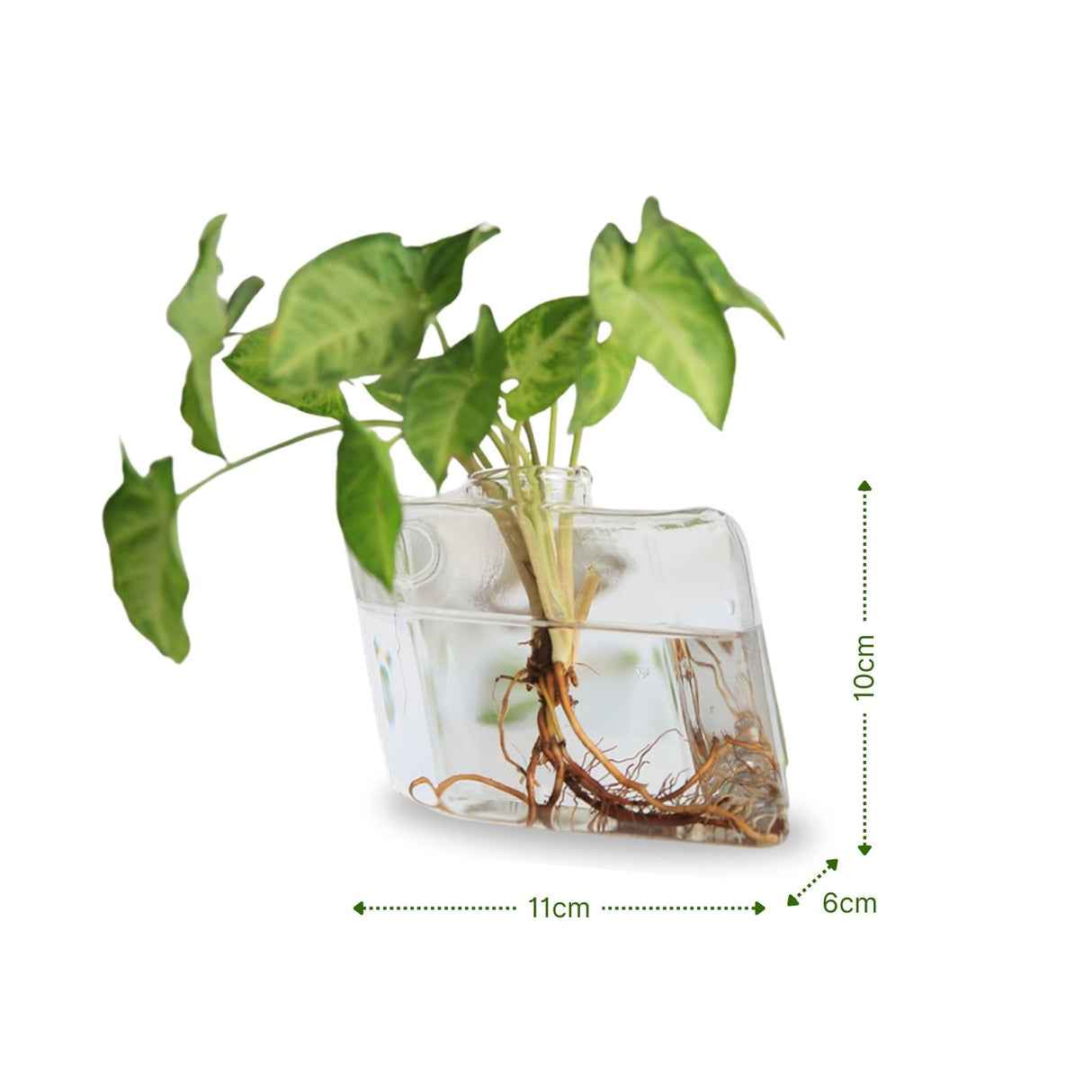 Stehende Glasvase schiefe Form Blumenvase Vase Dekoration