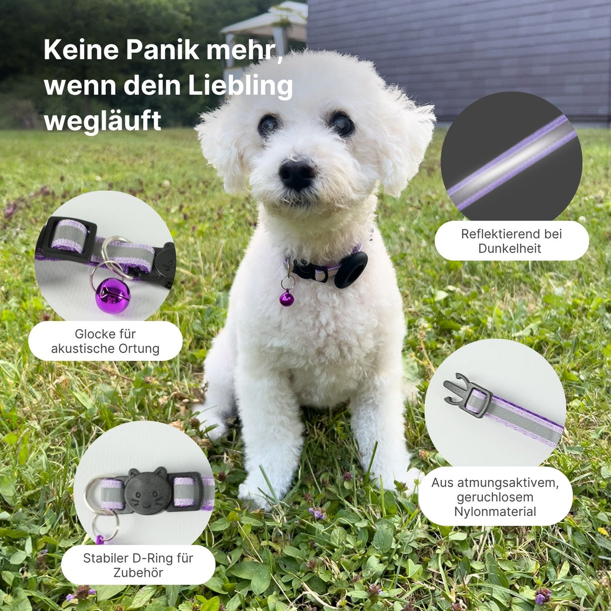 Halsband Katzenhalsband mit Airtag-Halterung Hundehalsband