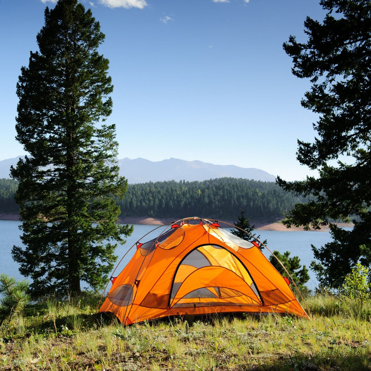 Zeltheringe Stahl Heringe 20cm Zeltnagel Camping Bodennagel 4er Set