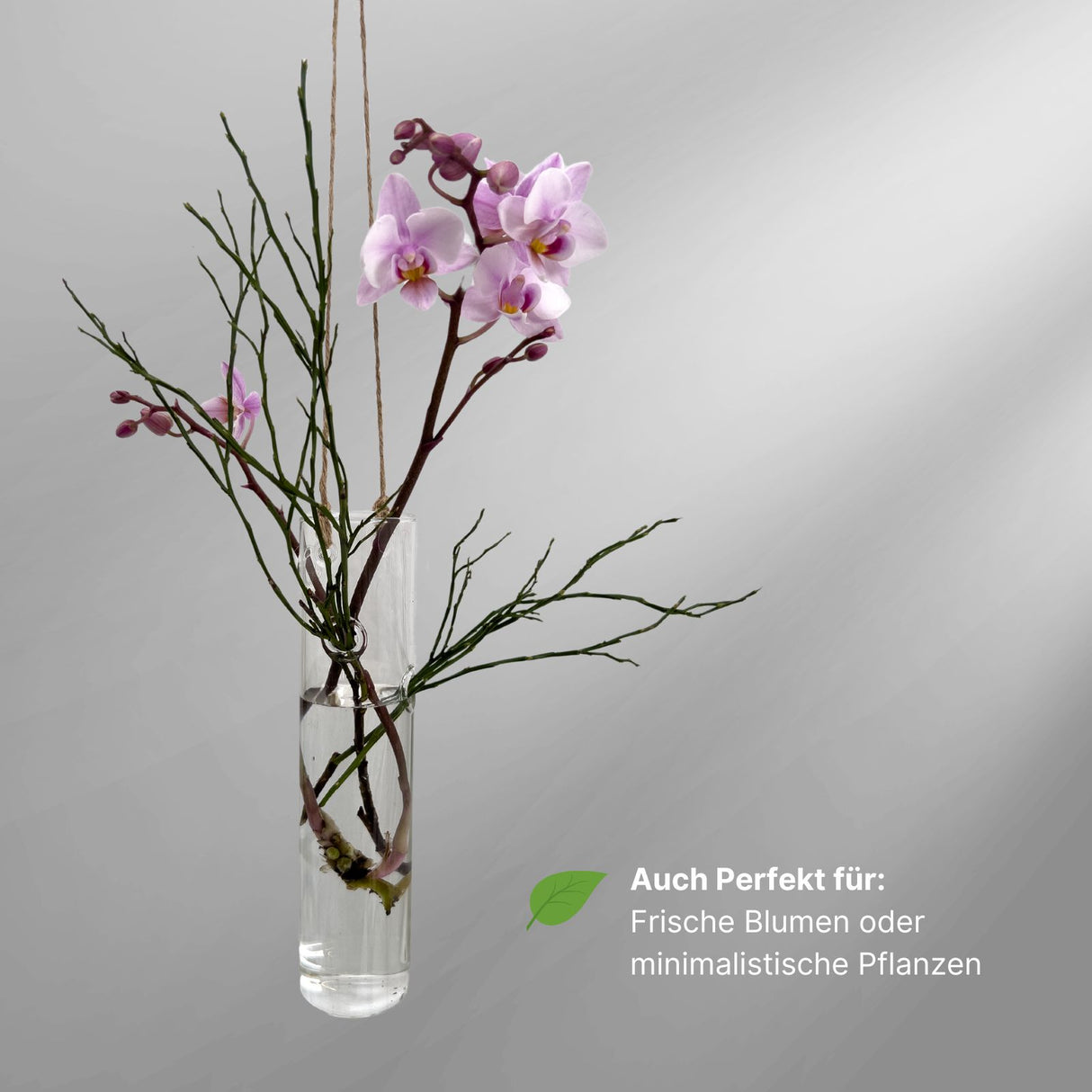 Hängende Glasvase Zylinderform Blumenvase Vase Dekoration