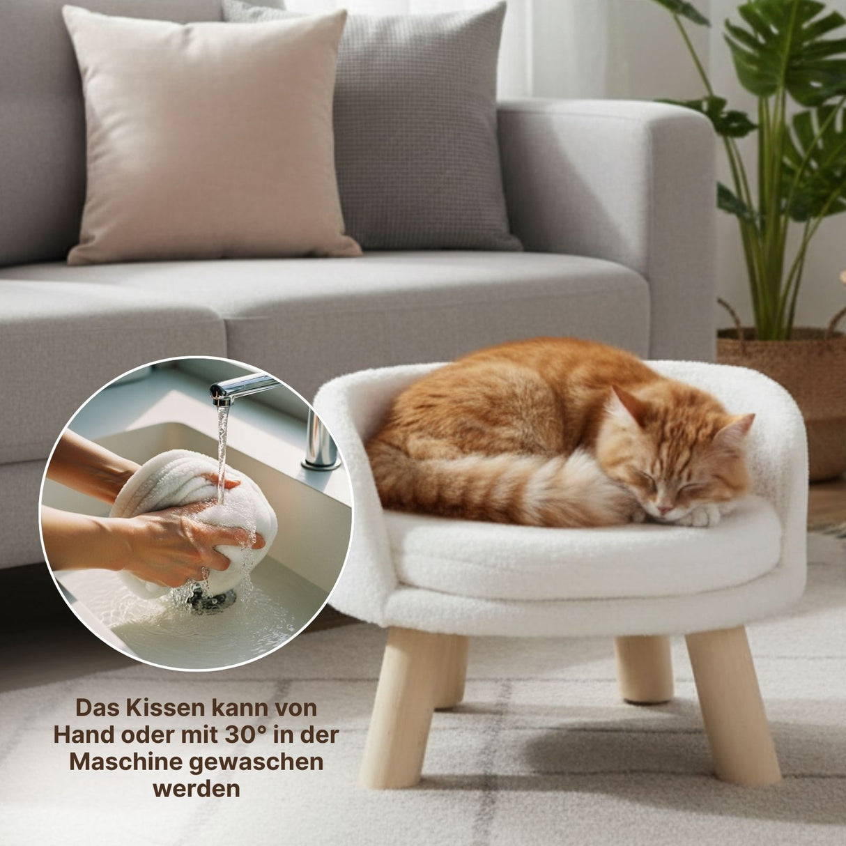 Katzenbett Grösse XL mit Kissen Liegeplatz Hochbett Katzensofa
