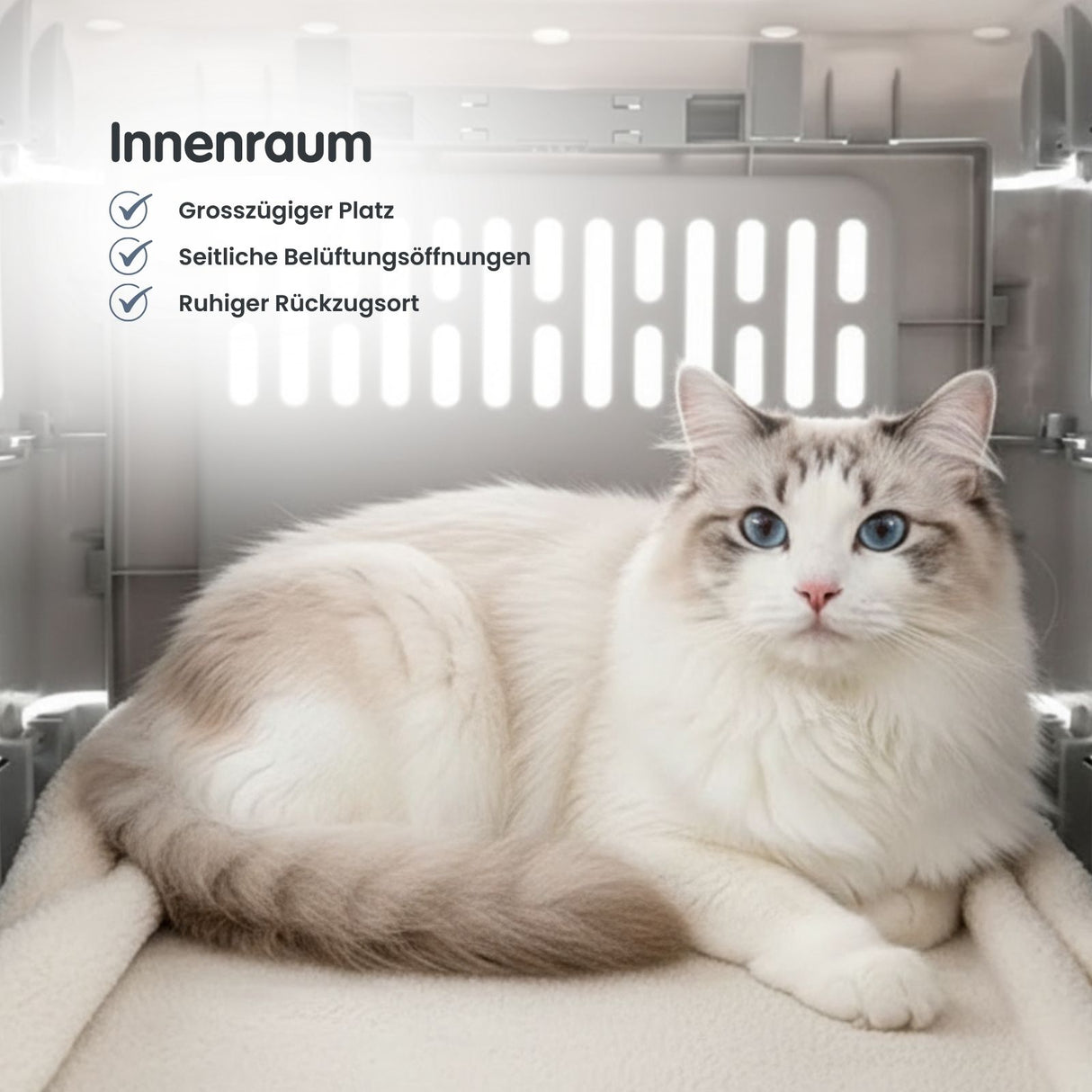 Zusammenklappbare Transportbox für Katzen Tiertransport Reisebox