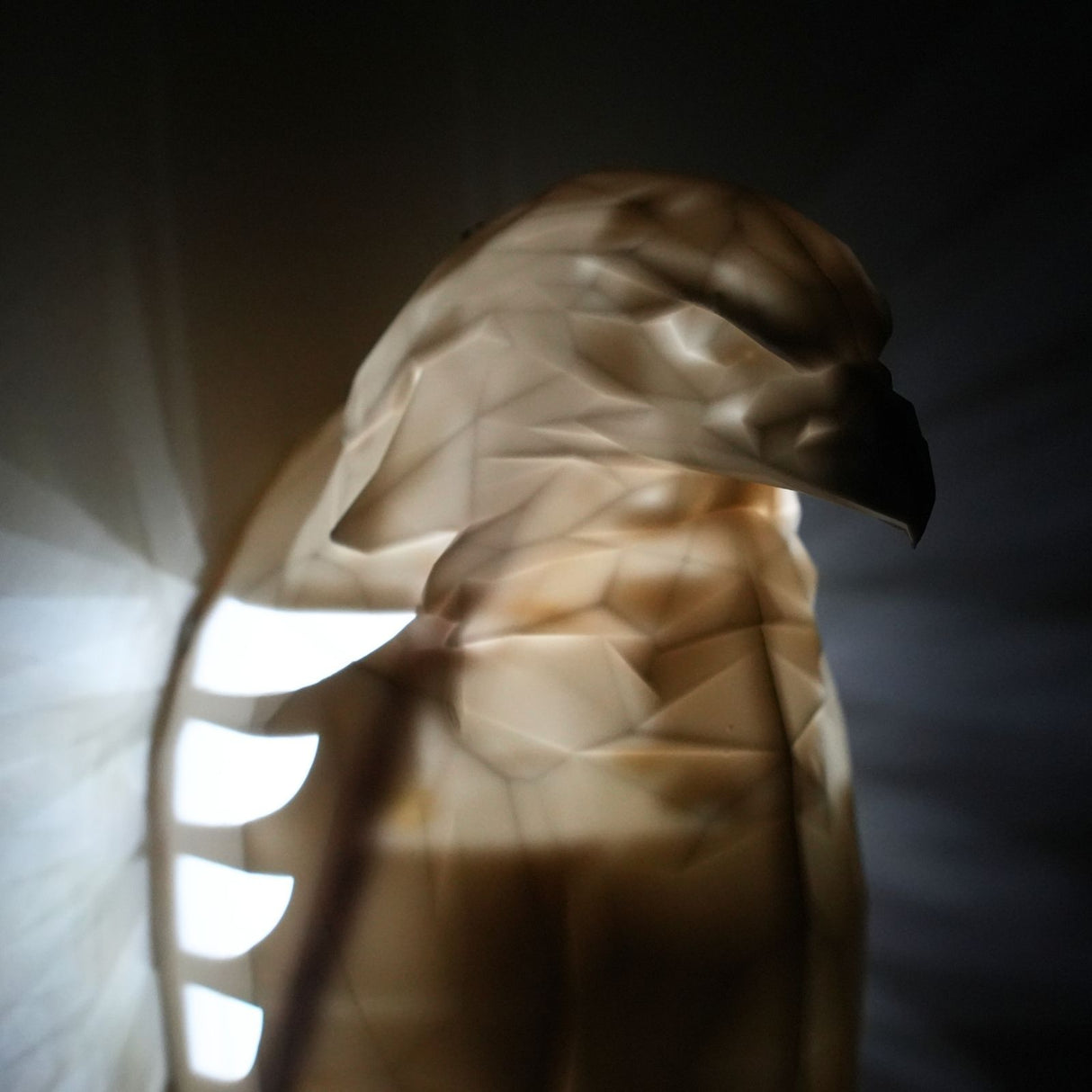 Adler-Lampe Dekorationslampe Wandlampe Nachtlicht Wandleuchte Dekoration