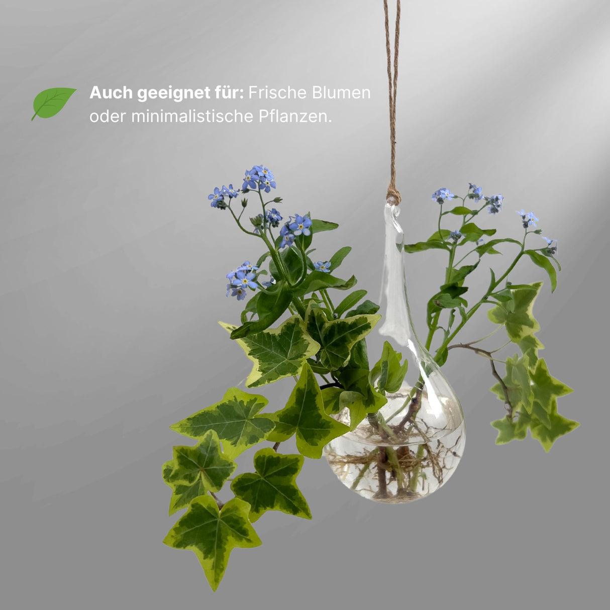 Hängende Glasvase Tränenform Blumenvase Vase Dekoration