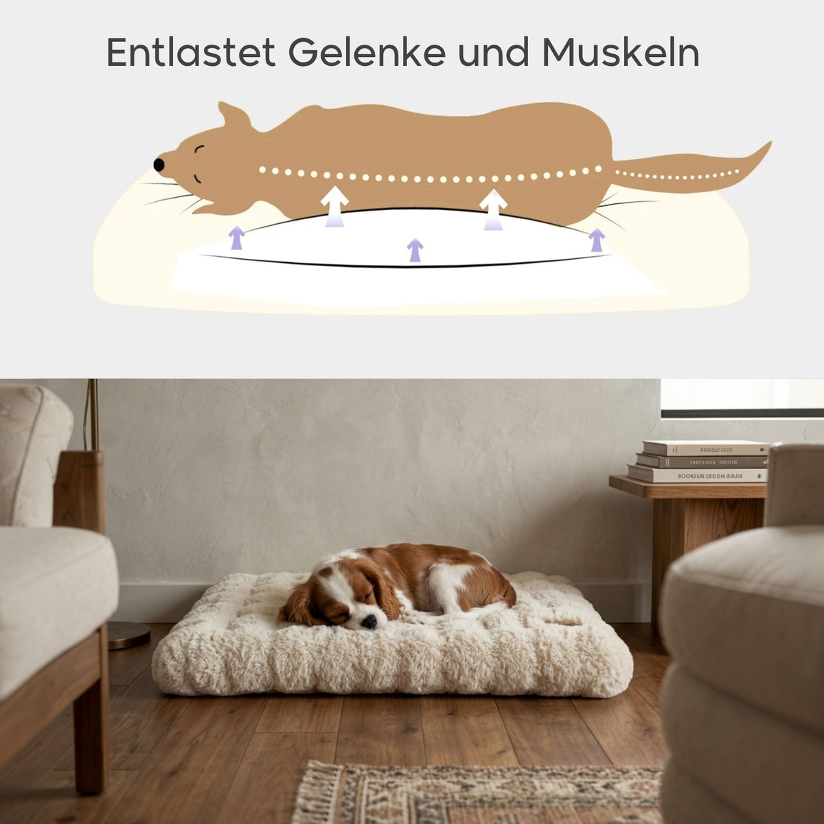 Kuschelbett Grösse L Hundekissen Schlafplatz Haustierbett Hundebett