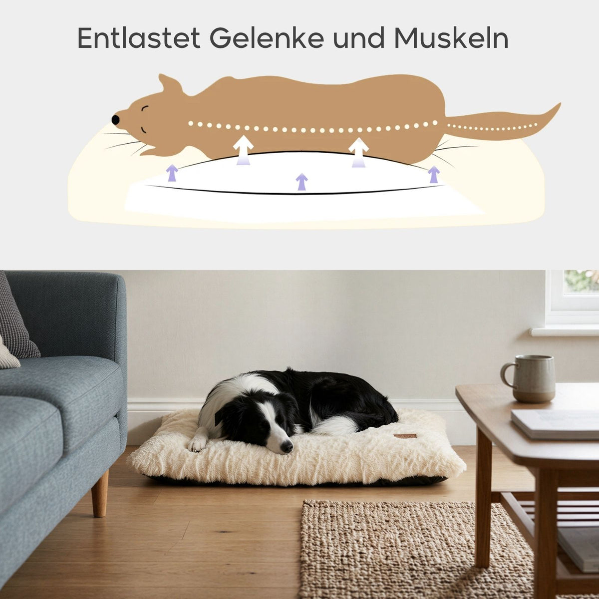 Kuschelbett Grösse XL Schlafplatz Haustierbett Hundebett Hundekissen
