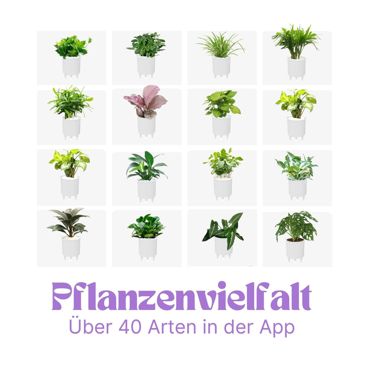 Ivy Smart Planter Smarter Blumentopf Elektronischer Blumentopf Smart Plant Pot USB-Pflanzenübertopf