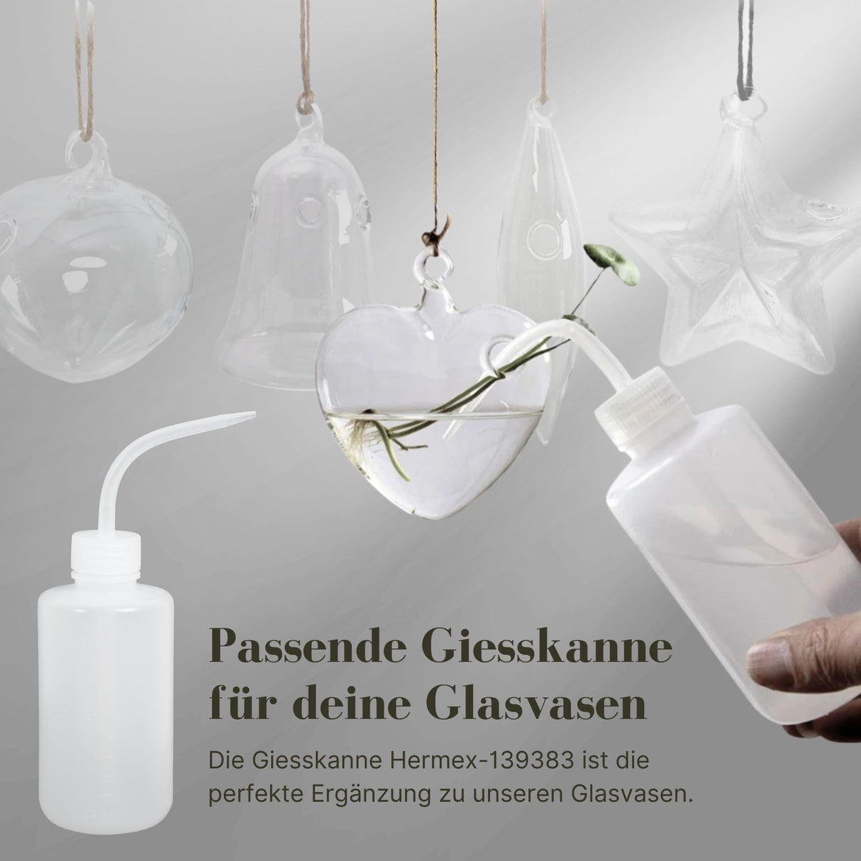 Hängende Glasvase Kugelform Blumenvase Vase Dekoration