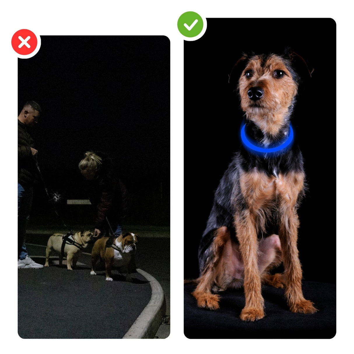 LED-Sicherheits-Hundehalsband Hundehalsband Leuchthalsband Schlauchhalsband