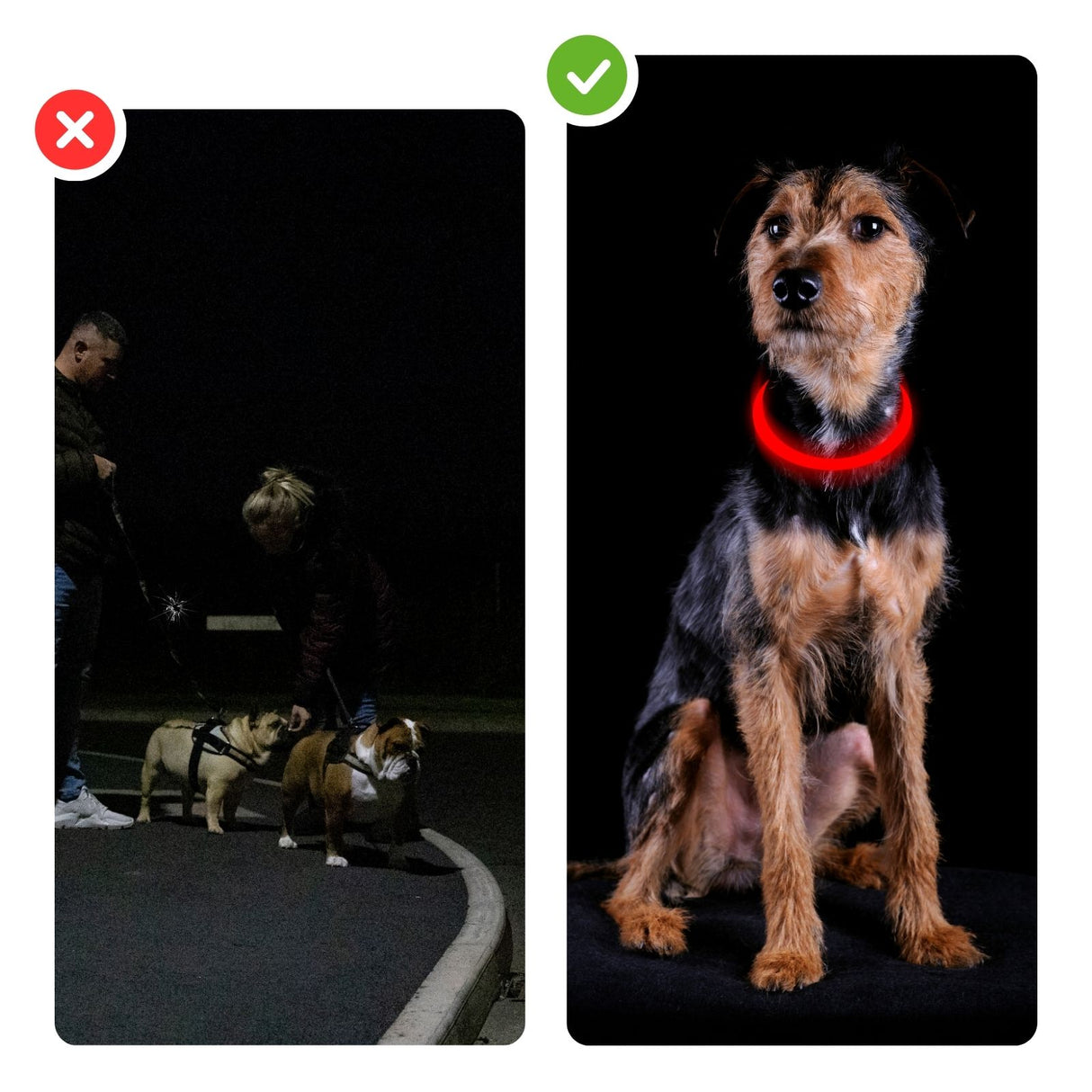 LED-Leuchthalsband Sicherheits-Hundehalsband Hundehalsband Schlauchhalsband