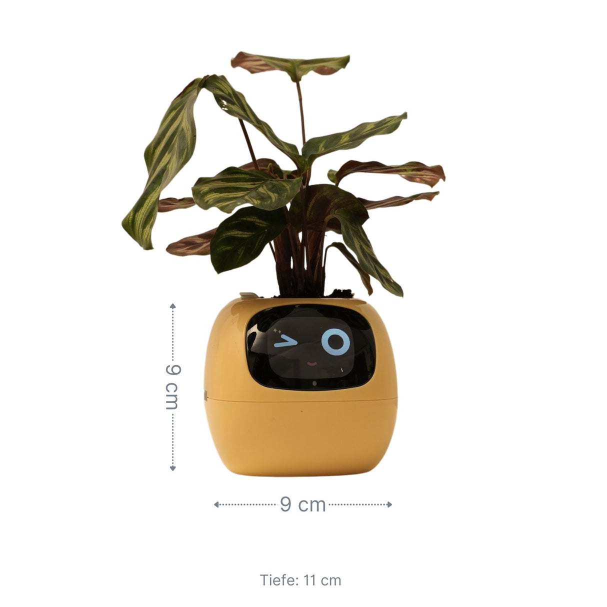Elektronischer Blumentopf Smarter Blumentopf USB-Pflanzenübertopf Smart Plant Pot Ivy Smart Planter