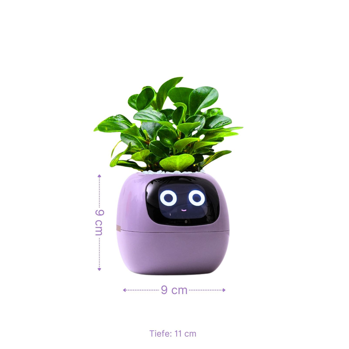 Ivy Smart Planter Smarter Blumentopf Elektronischer Blumentopf Smart Plant Pot USB-Pflanzenübertopf