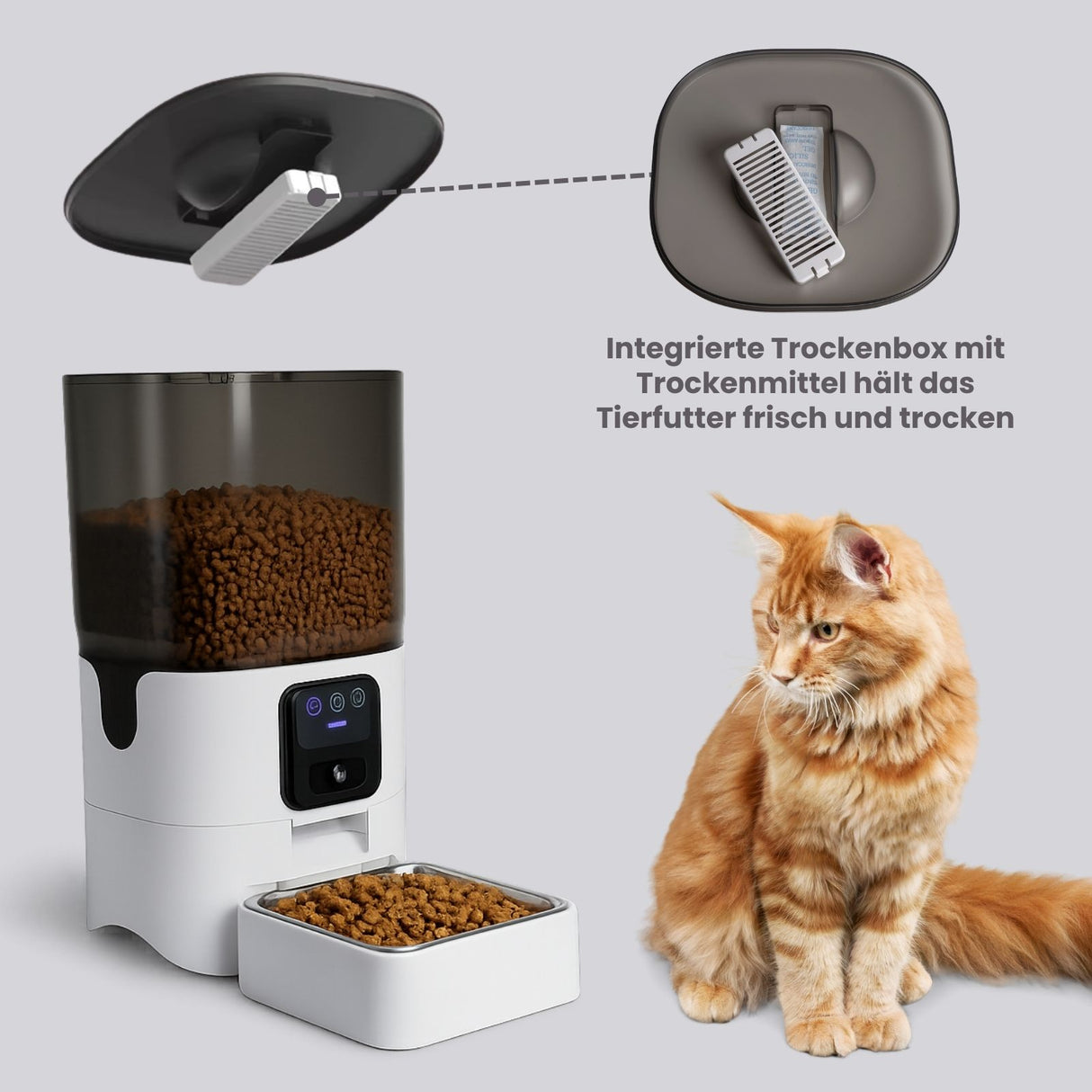 Automatischer Futterautomat für Katzen und Hunde Futterspender Napf